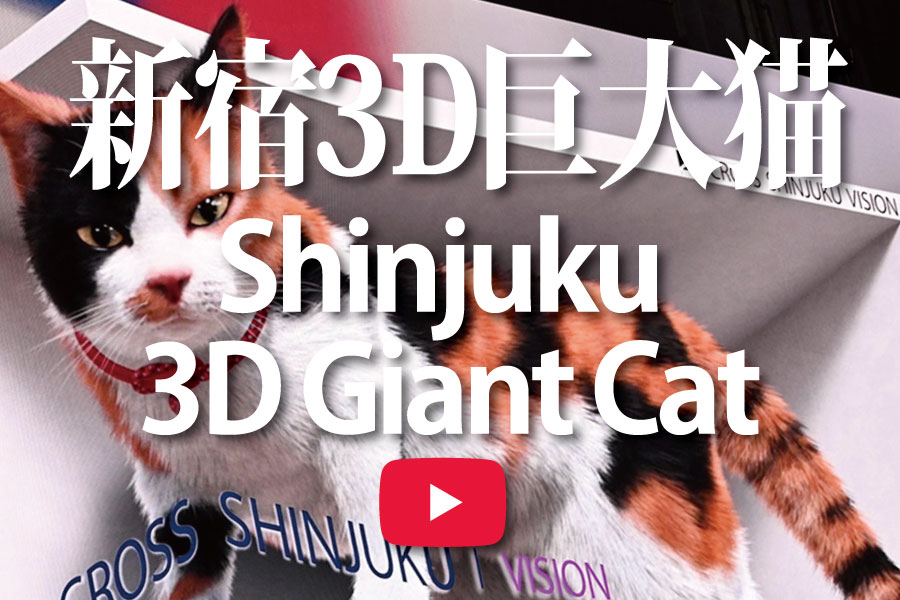 新宿3D巨大猫
